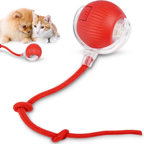 Bolinha Automática Interativa para Gatos