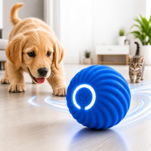 Bolinha Pet Interativa Recarregável USB