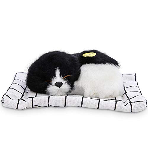 Cachorrinho Dormindo em Tapete Xadrez