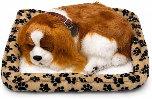Cachorro Cavalier King que Respira com Caminha