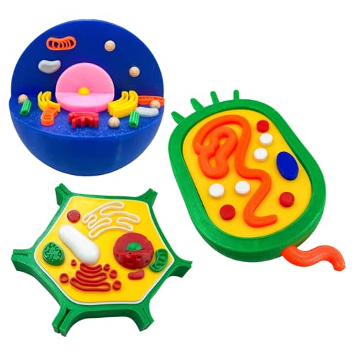 Kits de Ciência Avançados (Química, Física, Biologia)