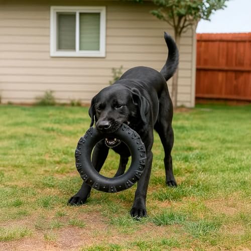 Mordedor para Cães em Borracha Preta 18cm
