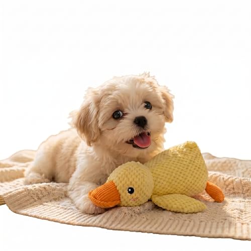 Pato de Pelúcia com Apito para Pets