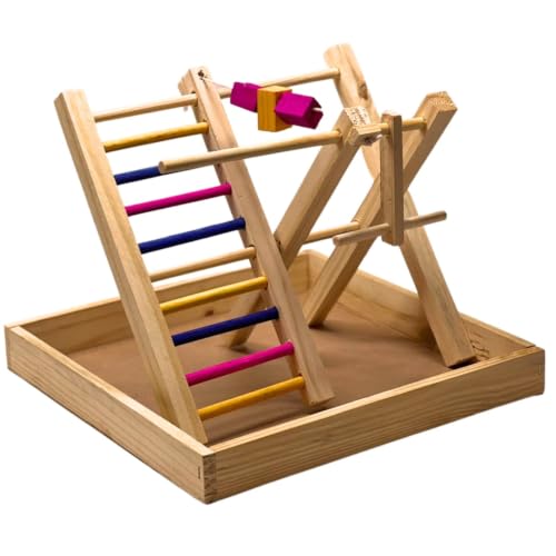 Playground de Madeira 40x40 para Aves