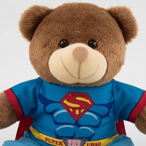 Urso de Pelúcia 25cm Brinquedo infantil Varios Temas (Super Urso)